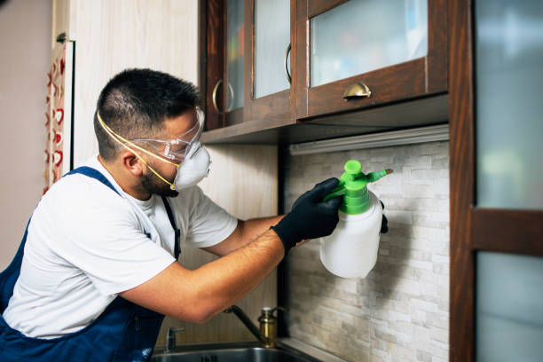 Best Termite Control Services  in Agler Estates, FL