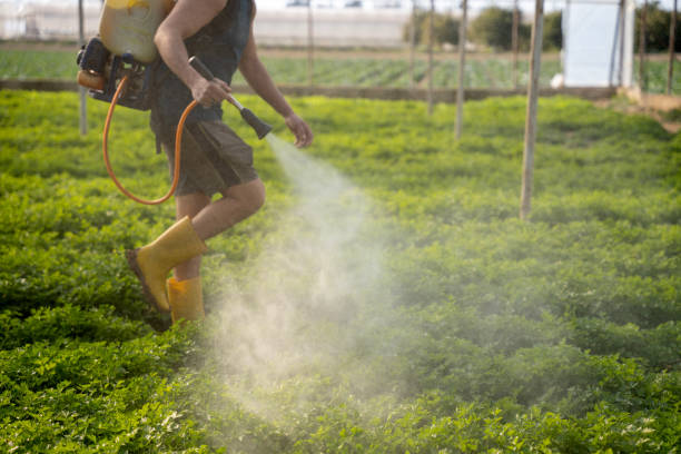 Best Affordable Pest Control Services  in Agler Estates, FL
