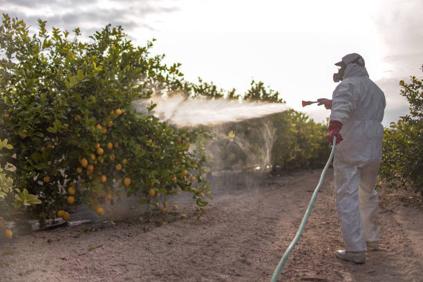 Best Pest Control Near Me  in Agler Estates, FL