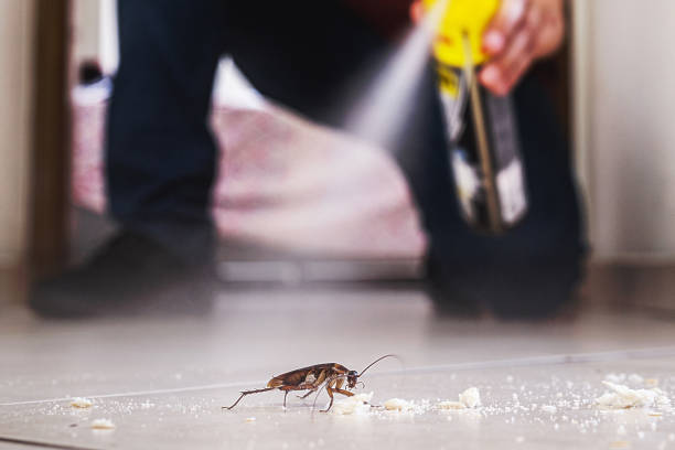 Best Local Pest Control Services  in Agler Estates, FL